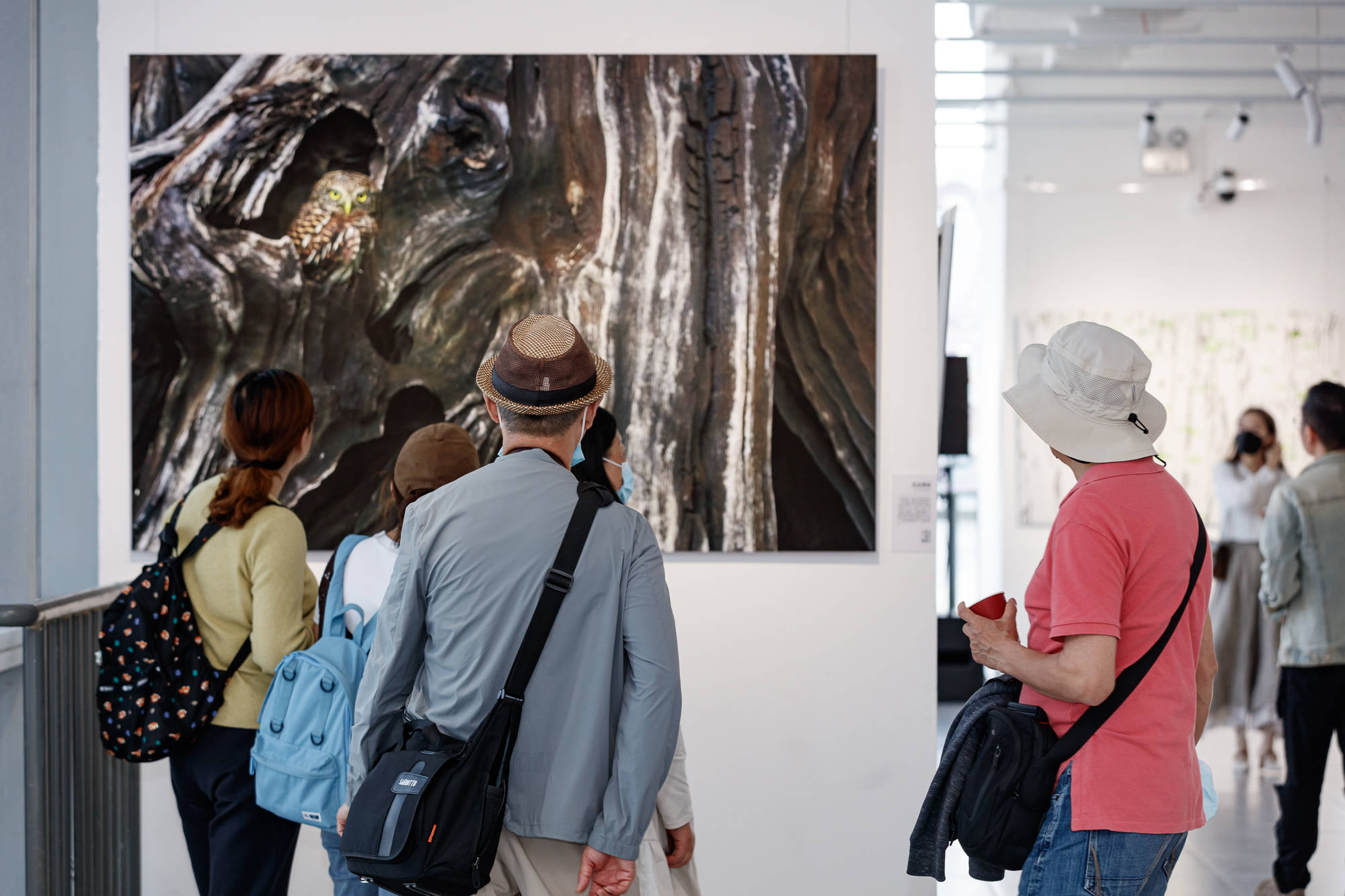 此次展览展出的60幅微距摄影作品,均为袁明辉在国际上获奖的精品佳作.