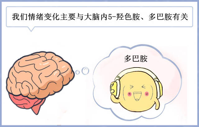 小常宝健康科普:多巴胺是什么意思?_有关_欲望_大脑