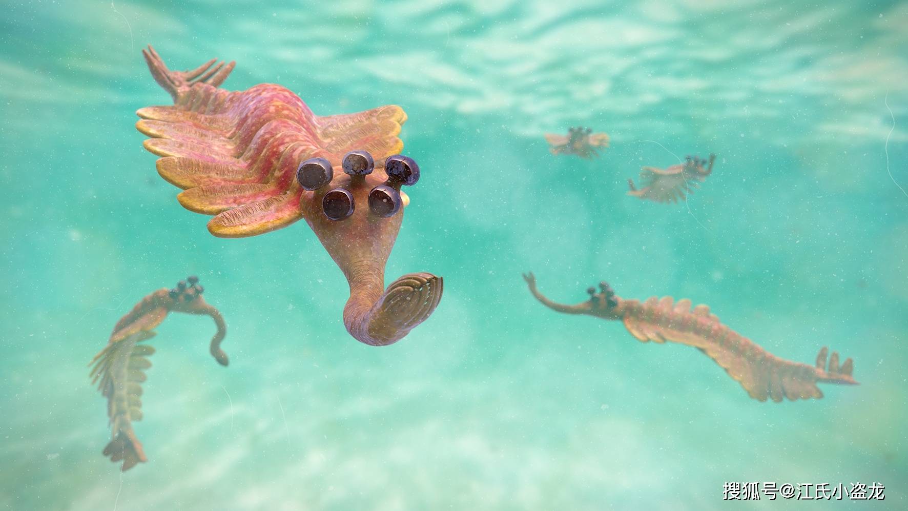 【海怪】5亿年前的五眼怪虾_欧巴宾_海蝎_眼睛