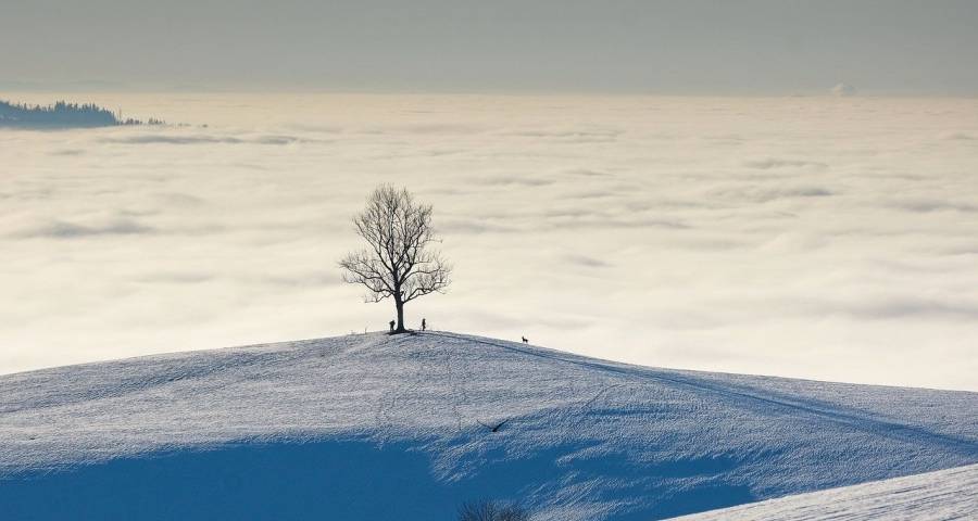 家电市场仍然存在一轮触底的回调-家电圈官网
