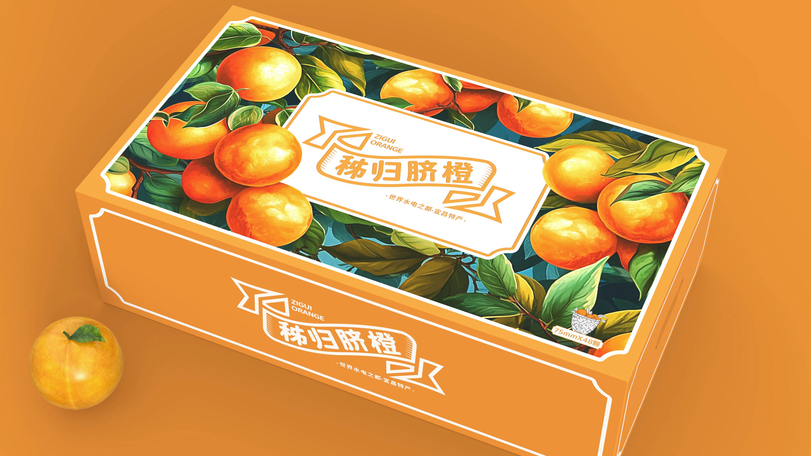 秭归脐橙 | 包装设计 | 原创 插画_橙子_极具_视觉