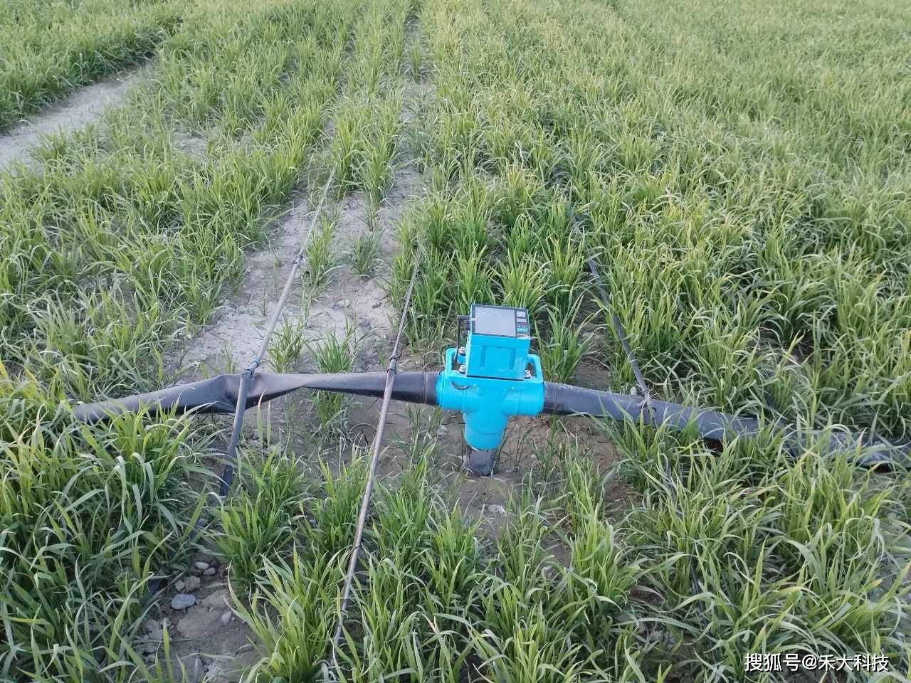 禾大科技数字灌溉掌握智慧农业发展方向