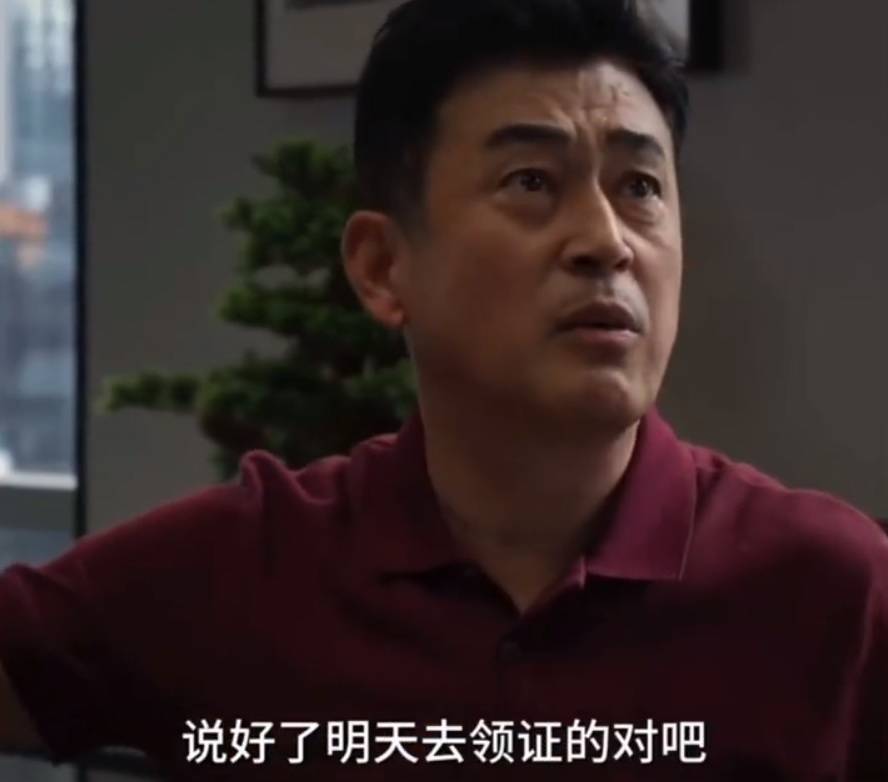 《平凡之路》蔡晓蕾劝左大建离婚这三观令人咂舌-搜狐大视野-搜狐新闻