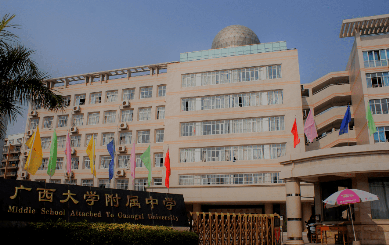 西大附中,君武小学正式停办,未来如何招生?_办学_南宁市_教职工