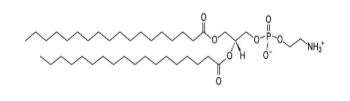 脂質體磷脂dspe;二硬脂酰磷脂酰乙醇胺;cas:1069-79-0_name_分子量