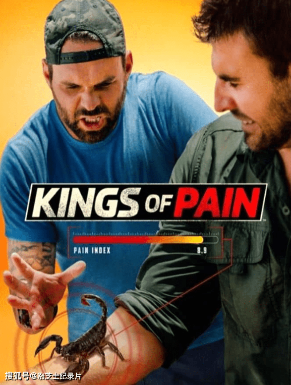 9087-历史频道《疼痛之王 Kings of Pain 2022》第1-2季全19集 英语中英双字 纯净版 1080P/MKV/51.4G 自然伤害疼痛指数