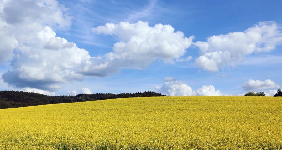 市场是涨是跌不重要!家电产业今年只有1个任务-家电圈官网