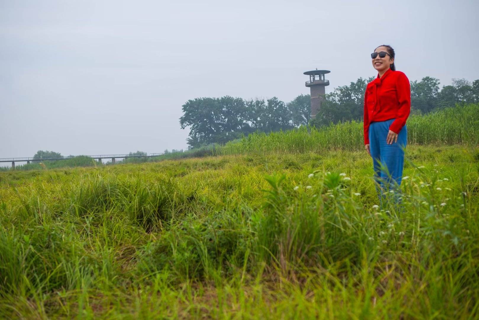 网红石臼湖草海·打卡张许村滩涂_龙猫_笔者_景观