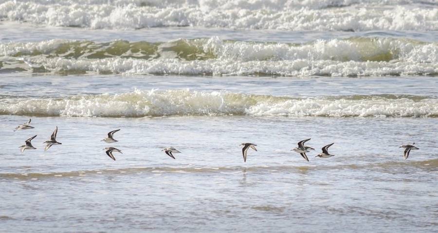 家电市场最近出现一些喜人的变化-家电圈官网