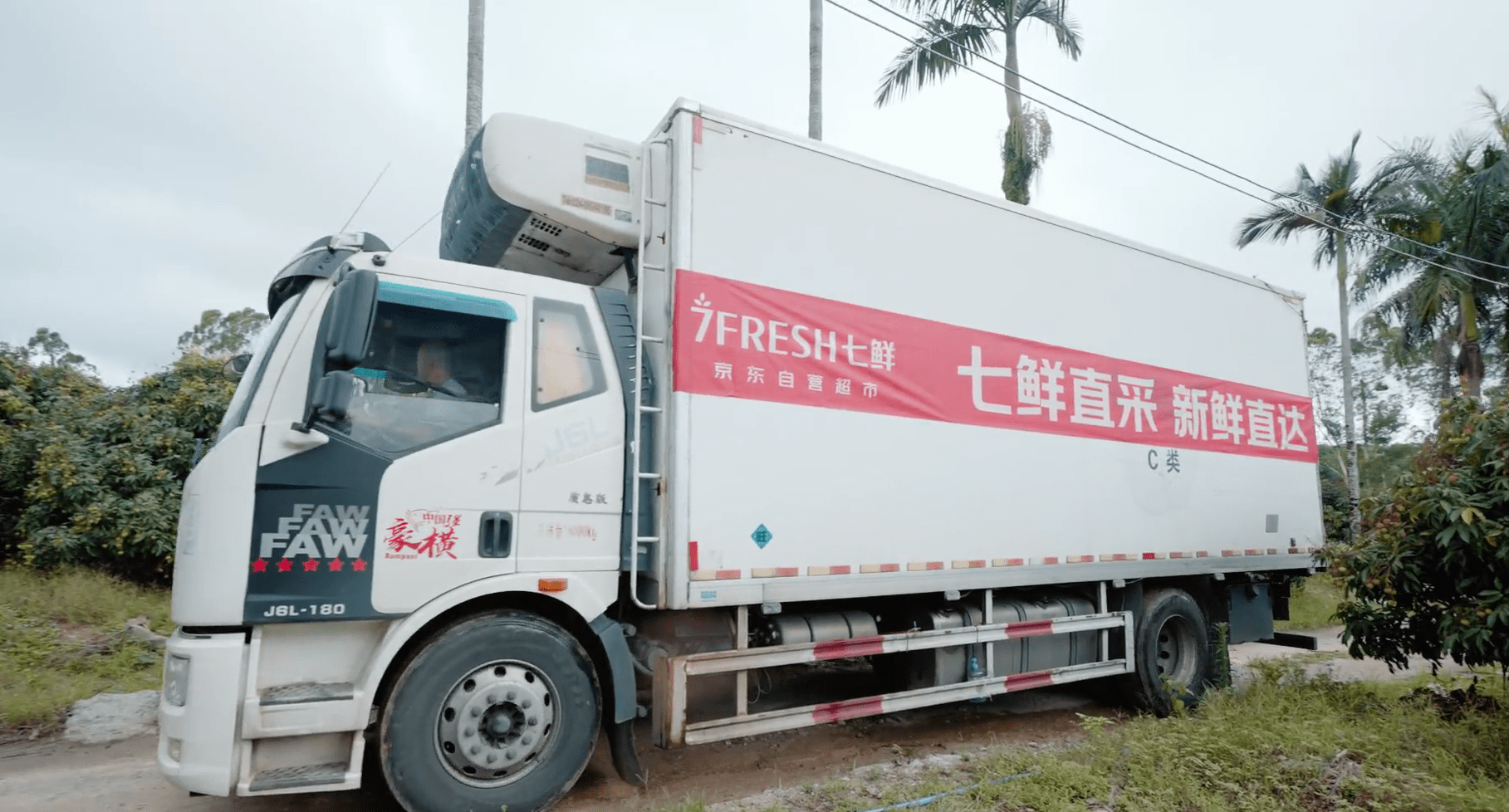 京东七鲜跟着太阳走 产地直采枝头熟海南荔枝 最快24小时直抵餐桌