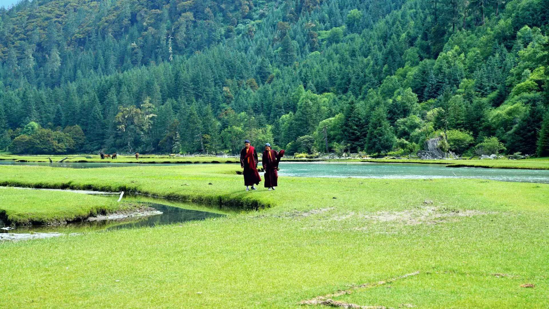 用餐:4次早餐保险:旅游意外险一份用车:全程5天用车门票:四姑娘山双桥