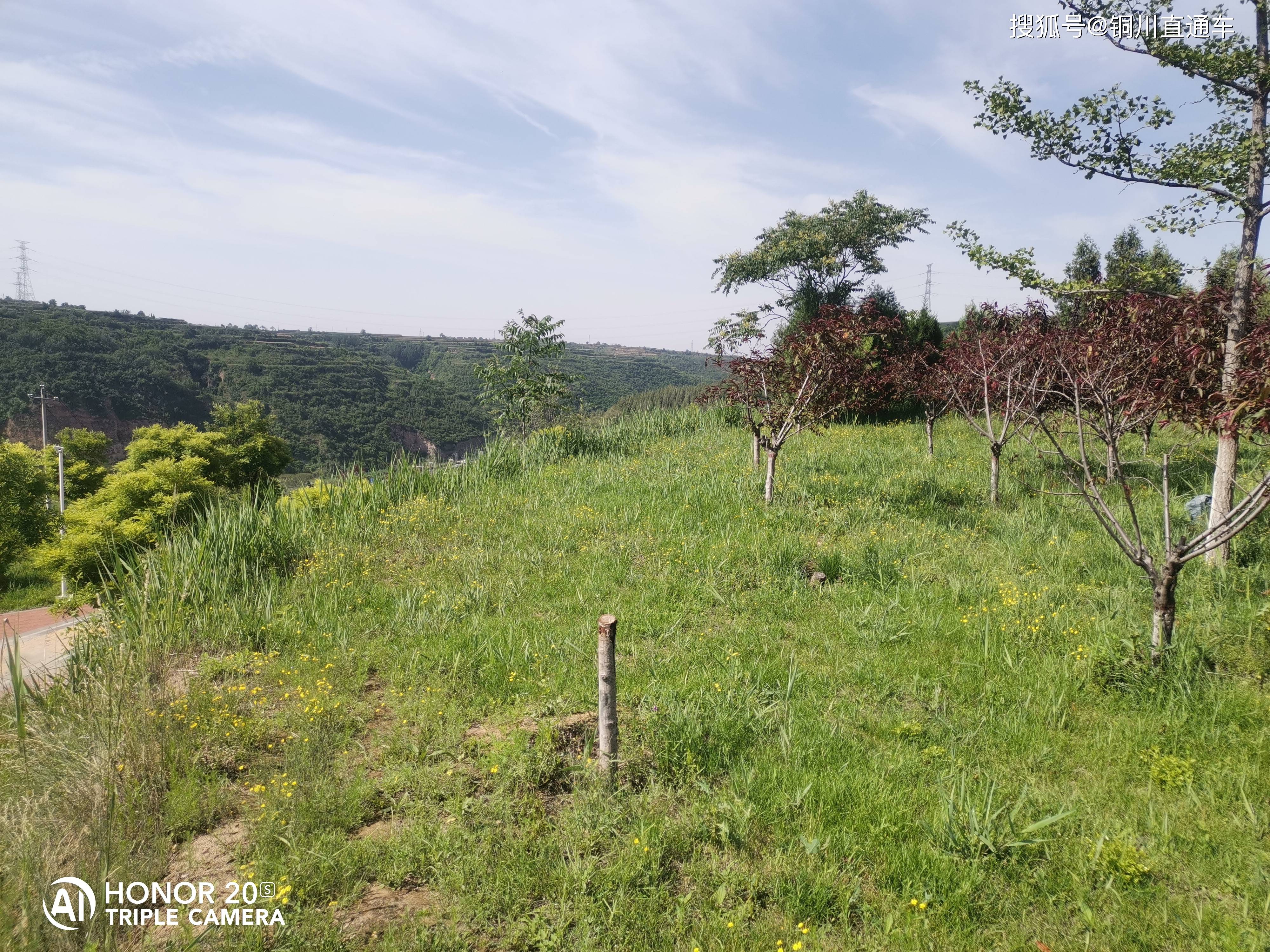 銅川王益區川口山體公園手機隨手拍