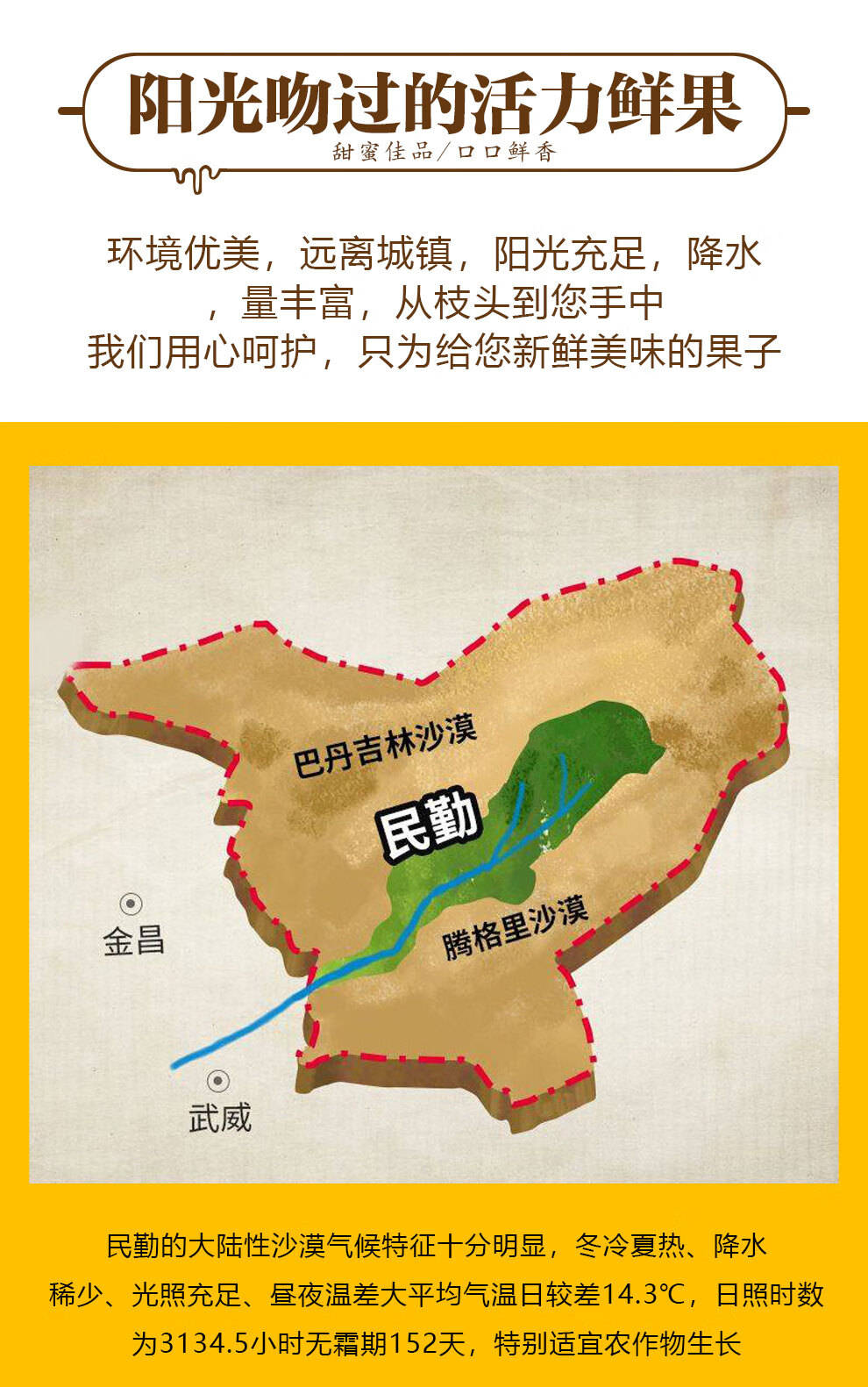探秘民勤沙漠中的人参果:盘点夏日补水小巨蛋神奇功效_果肉_食用_甘肃