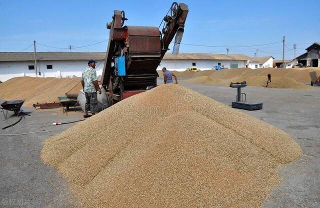 粮食保管员证书在哪里报考、报考条件、含金量高吗？