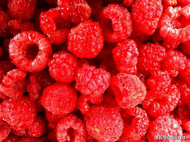 覆盆子:"种"在80,90后心中的美好回忆_是一种_果实_记忆