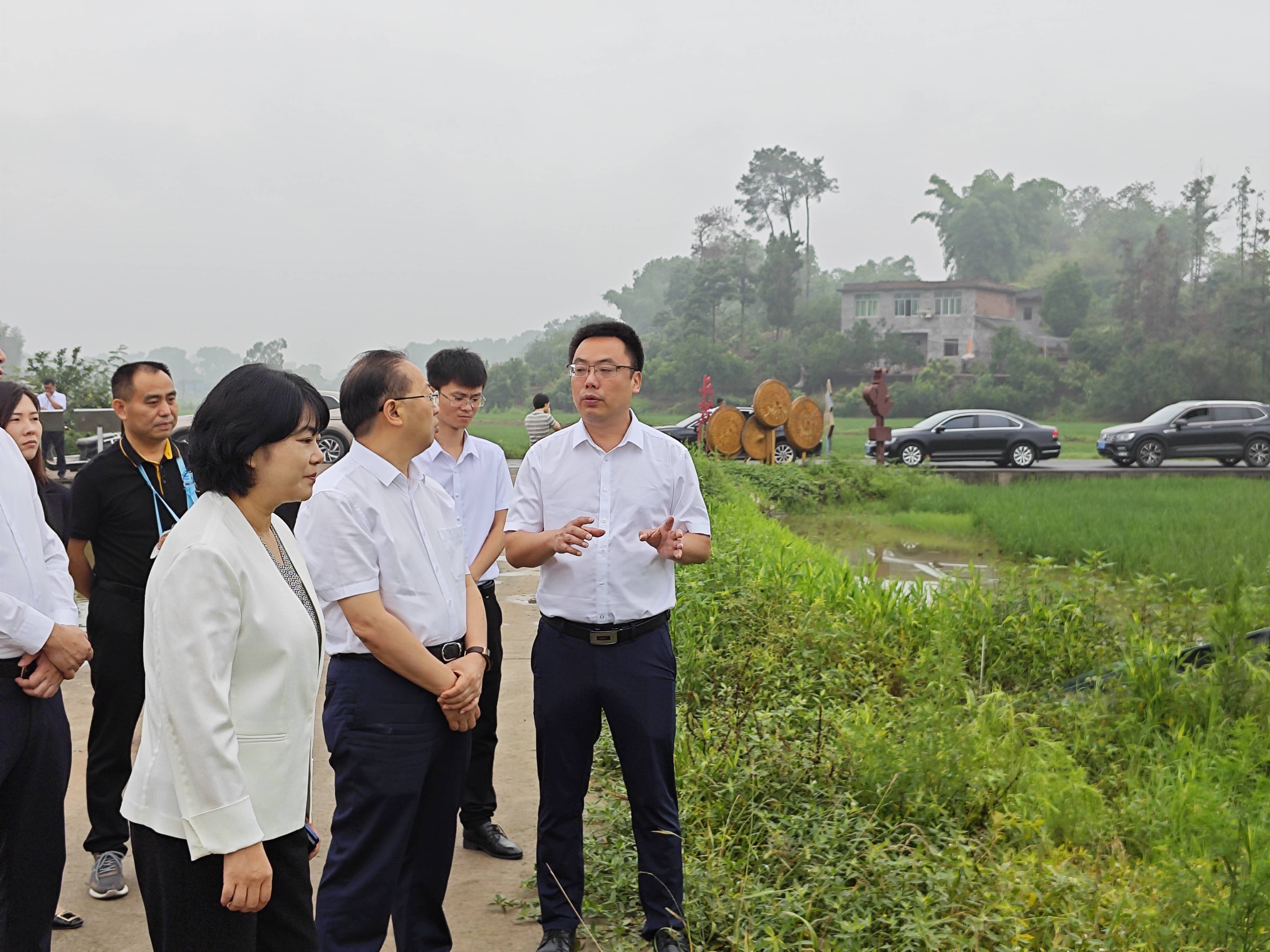 合江县县长图片