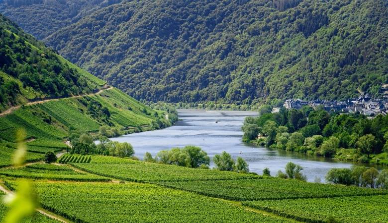 山寨品牌碰瓷胆太大,家电市场乱战何时能终结?-家电圈官网