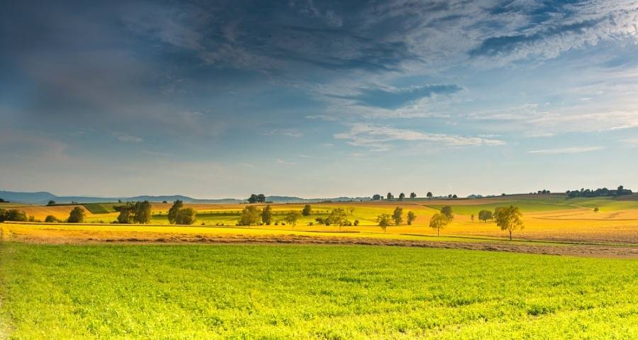 家电业涨价声起:美的海尔长虹京东出招,小米松下苏宁海信结盟-家电圈官网