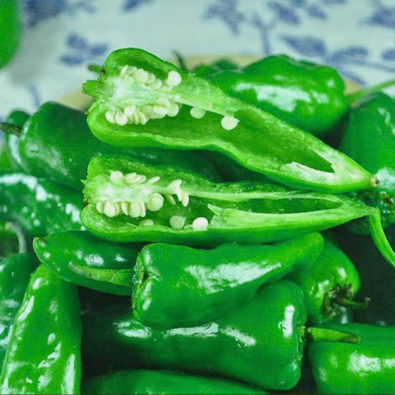 同乐余干椒薄皮香椒辣椒种子_种植_上市_cm