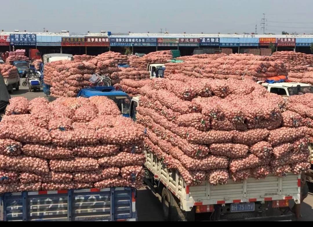 金乡大蒜1997年央视播放2000万的广告,钱从哪里来?