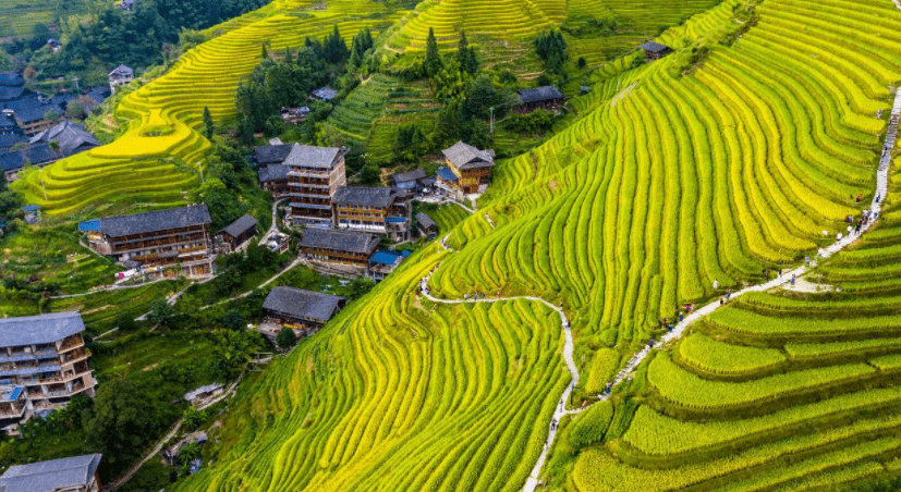 桂林有什么好玩的地方景点-桂林有什么旅游景点推荐一下
