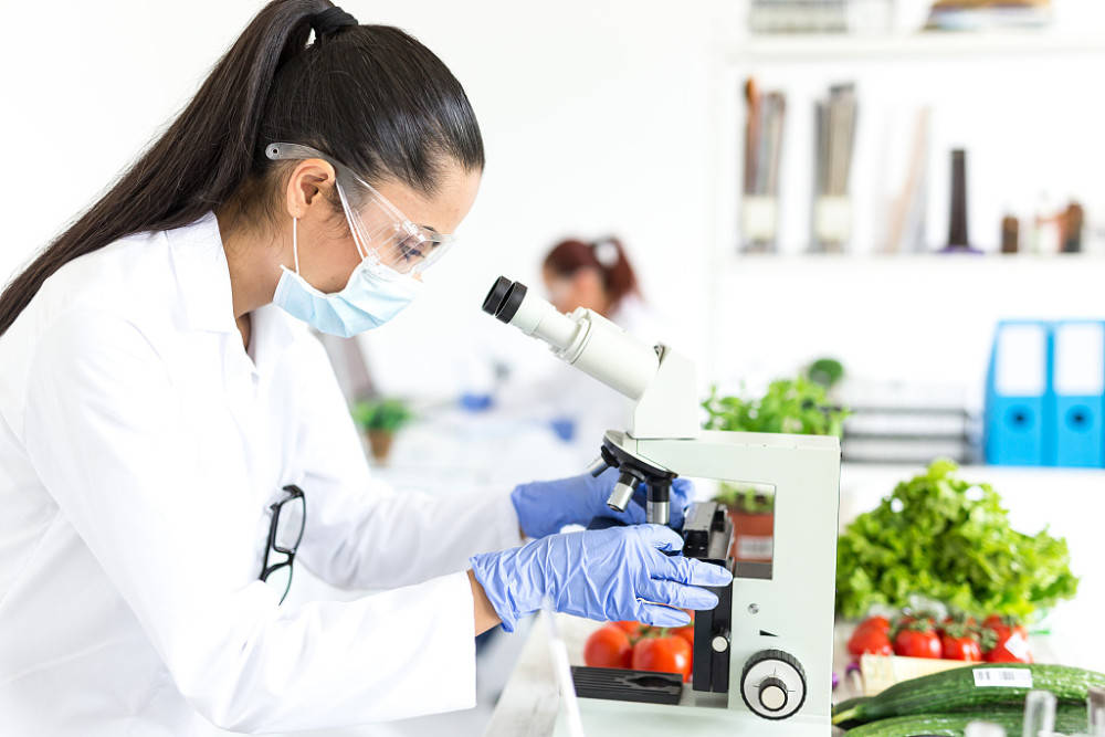 火！食品检验员证书在哪报名？证书报考条件有哪些？证书好考吗？要多久拿证？