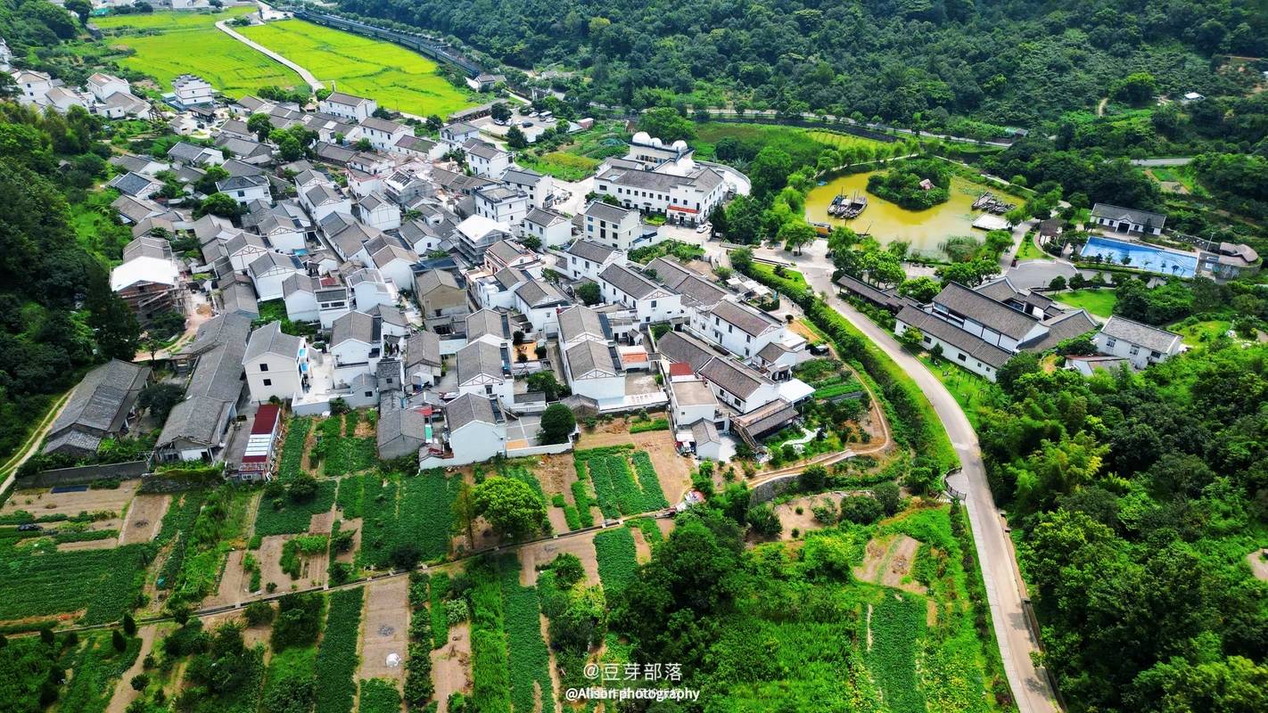 定海区干览镇双龙路21号21566南洞艺谷:定海区干览镇新建村新建