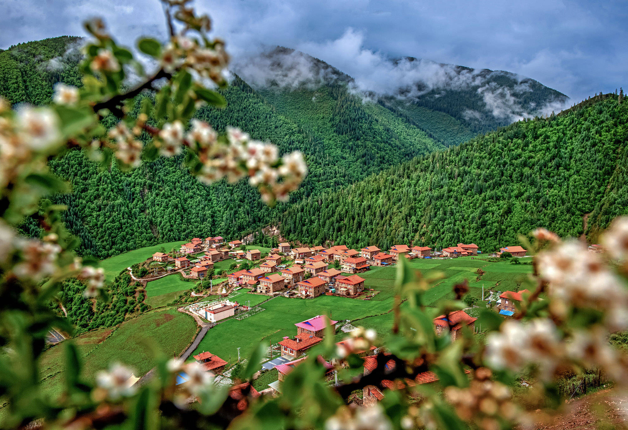 四川金川:持续改善农村人居环境 建设宜居宜业和美"三家园"_整治_乡村