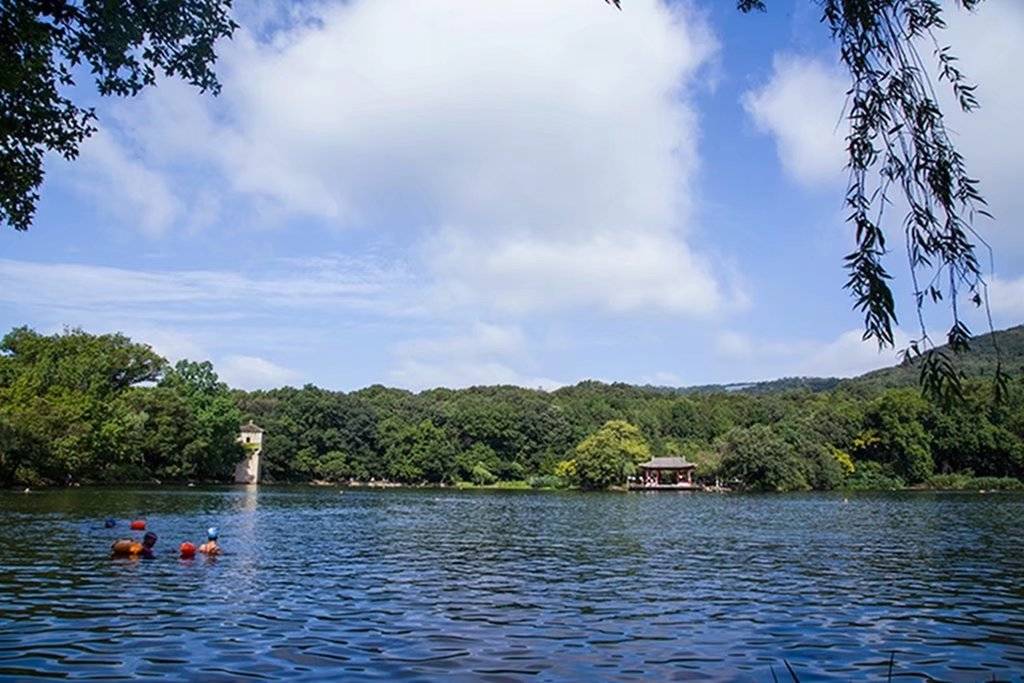 【每日一景】山林中的紫霞湖_明孝陵_南京市_林海