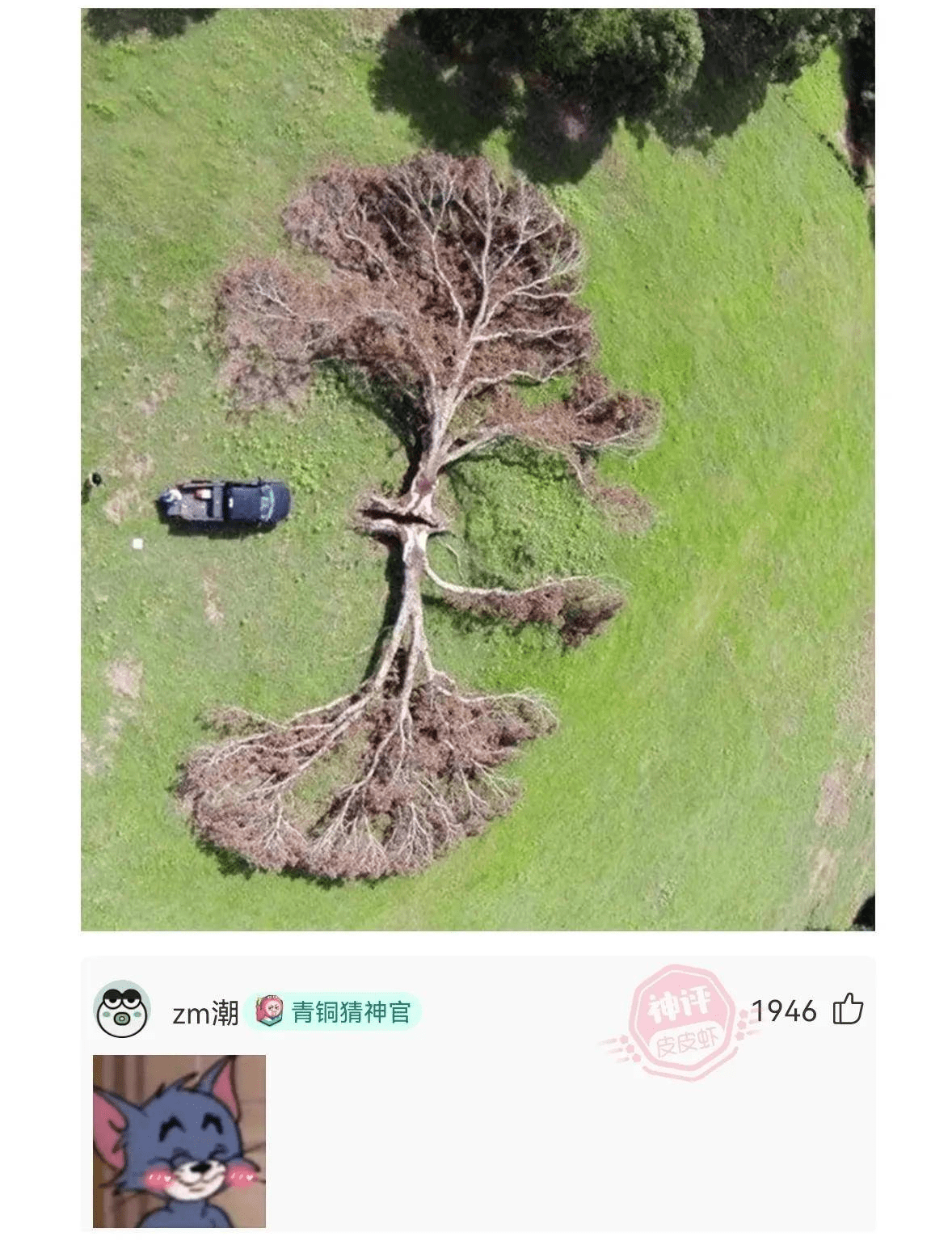 原创
            爆笑神评：女友半夜起来偷吃零食，我该怎么惩罚她？（女朋友半夜想吃东西怎么办）