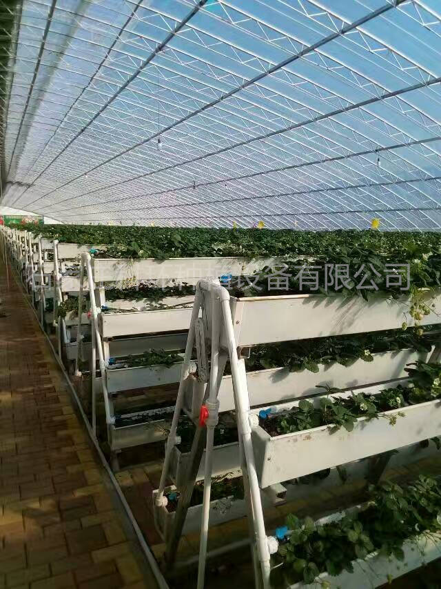 立体草莓槽 大棚草莓立体栽培槽 草莓托果网布 草莓栽培设施