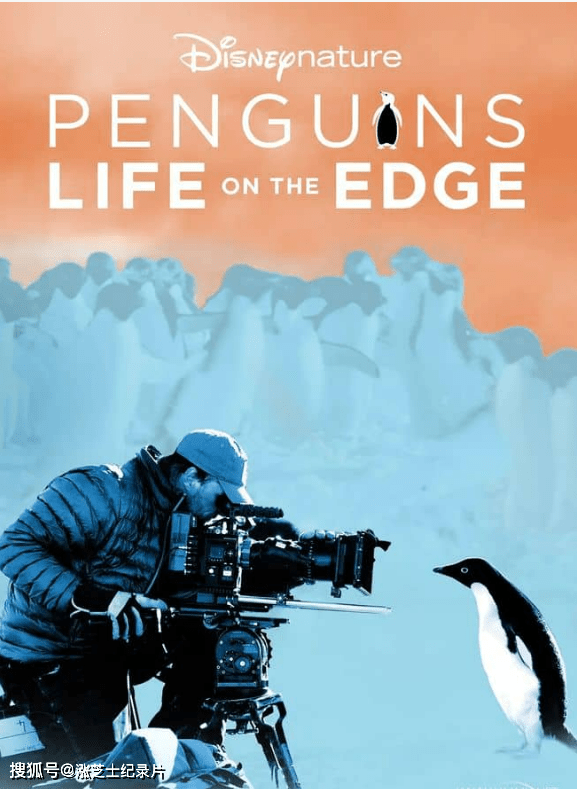 10112-迪士尼纪录片《企鹅：极地追踪 Penguins: Life on the Edge 2020》4K超清/2160P/MKV/9G 企鹅纪录片