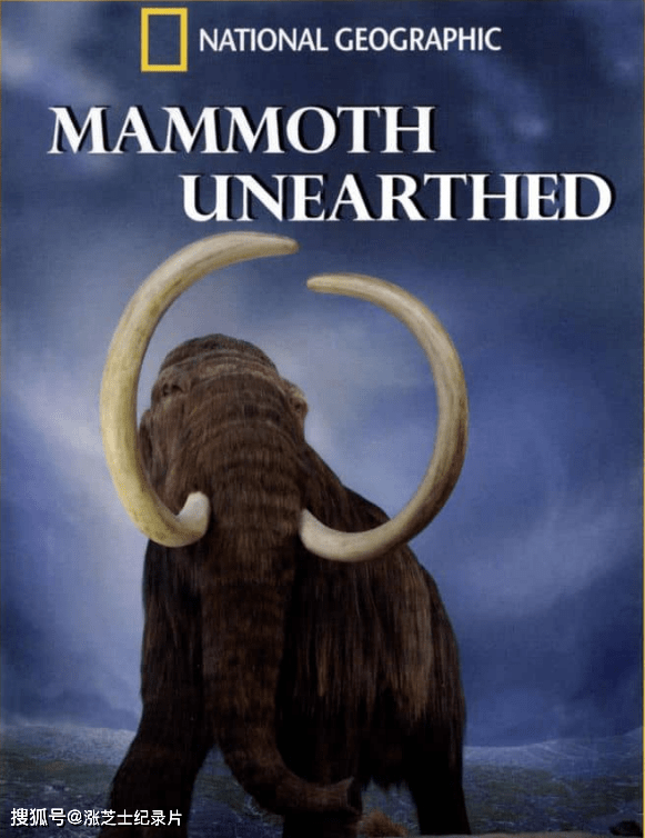 9960-国家地理《挖掘猛犸象 Mammoth Unearthed 2014》英语多国中字 官方纯净版 1080P/MKV/2.46G 猛犸象