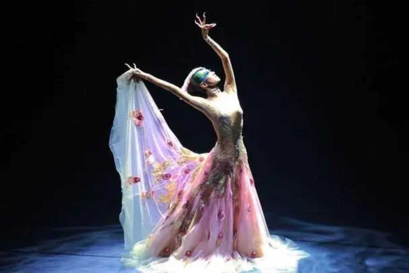 杨丽萍的阴阳双修舞蹈:艺术的界限与观众感受的争辩_思想_演出_价值