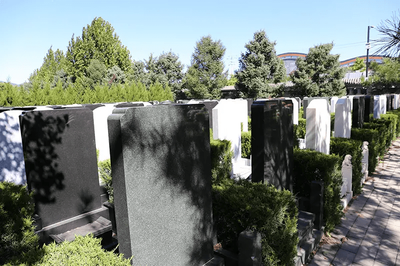 西静园公墓位置在哪里?环境如何?_文化_地方_生命力