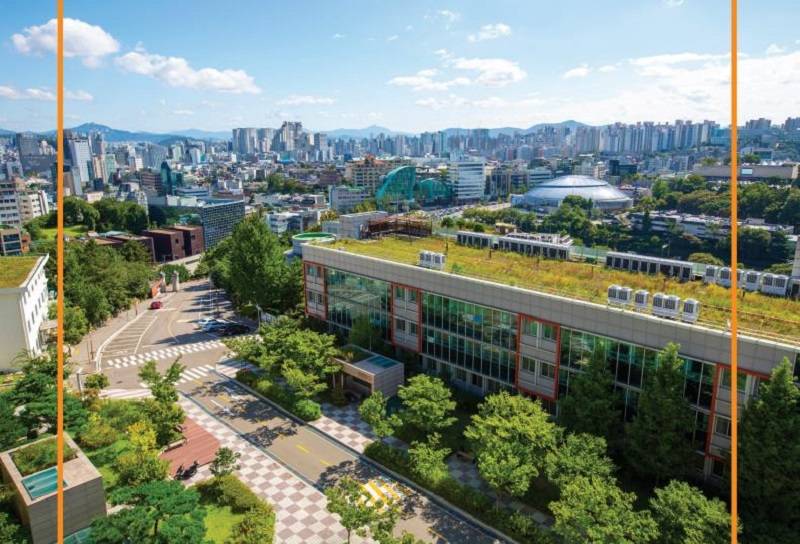 东国大学2023年2期国际优秀人才选拔项目(本科预录取)_专业_教育_国语