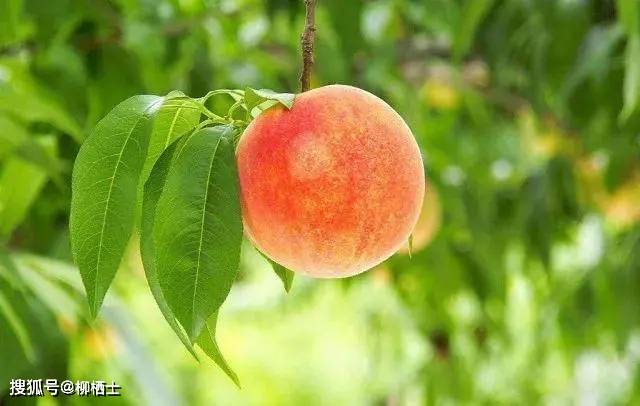 人民日报：同一个班级、同样的老师，孩子间拉开差距的真正原因！