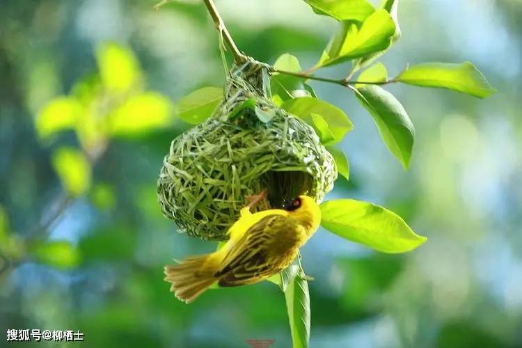 人民日报：同一个班级、同样的老师，孩子间拉开差距的真正原因！