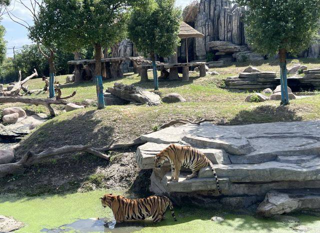南通森林野生动物园:集自然,娱乐,休闲于一体的景区,是南通市的一张