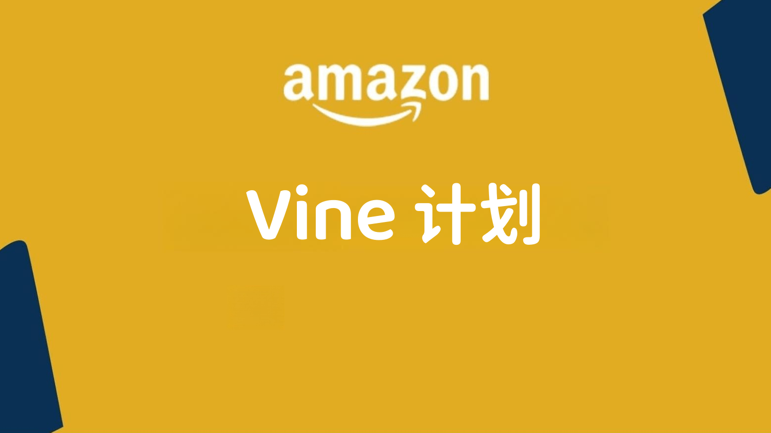 亚马逊 vine 计划费用/产品申请条件是什么?_vine_卖家_注册