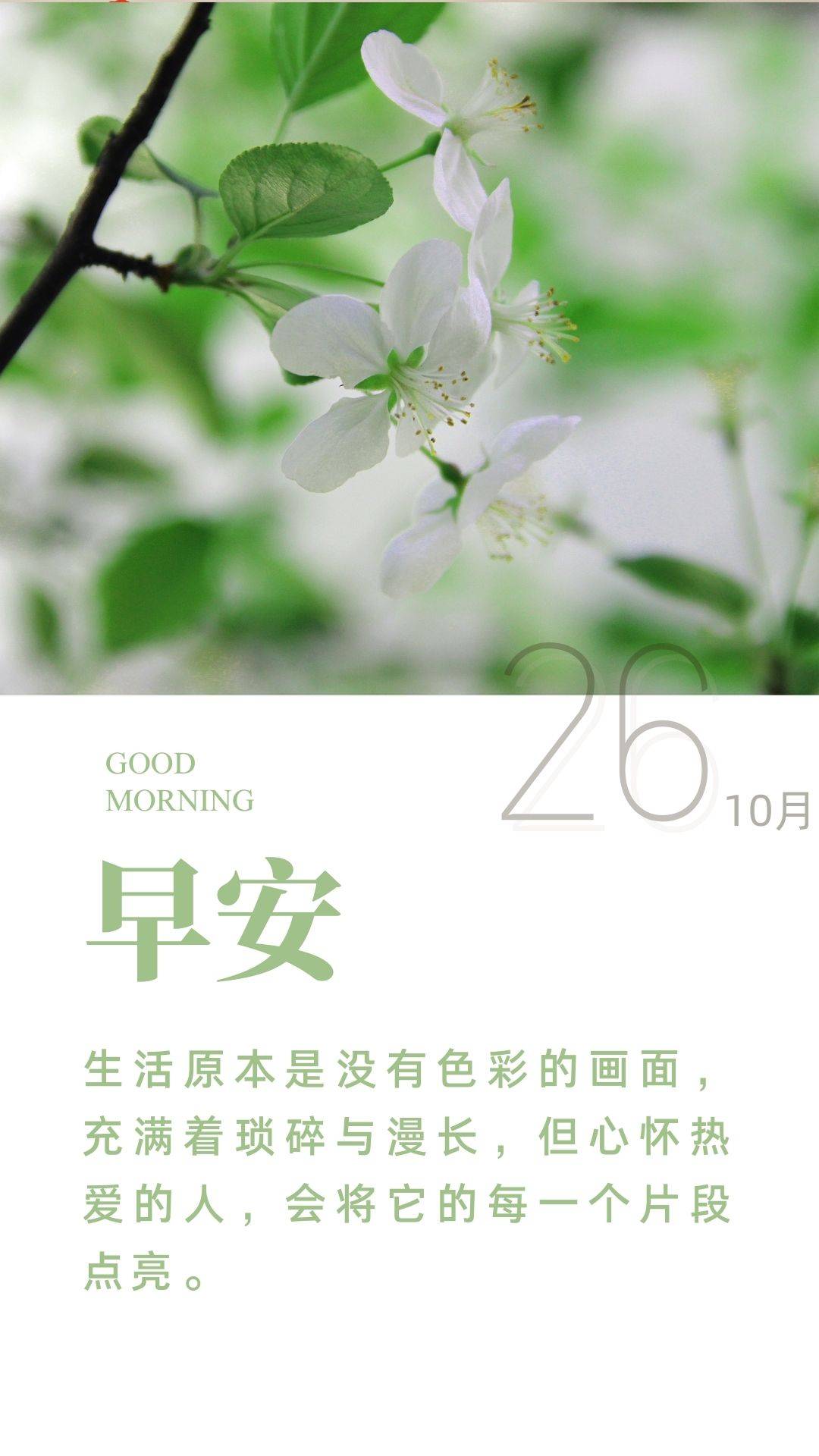 10月26日微语简报,60秒知天下_数据_中国_我国