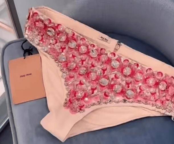 miumiu钻石内裤出圈,奢侈品的火爆能推动经济发展?_社会_什么_衣服