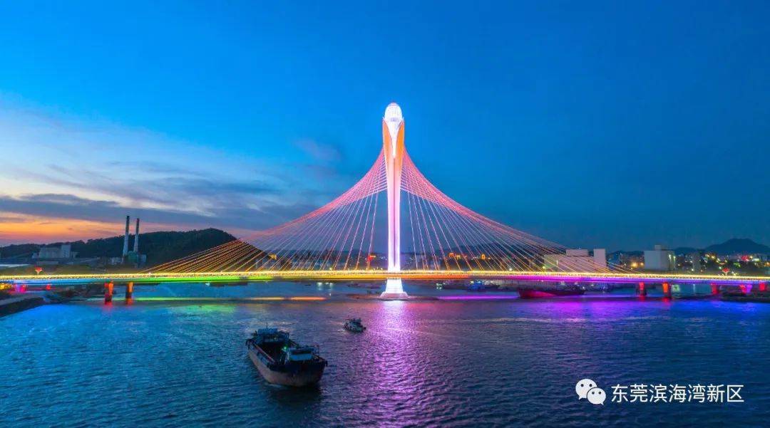 滨海湾大桥获评"十大最美桥梁"_东莞_施工_建设者