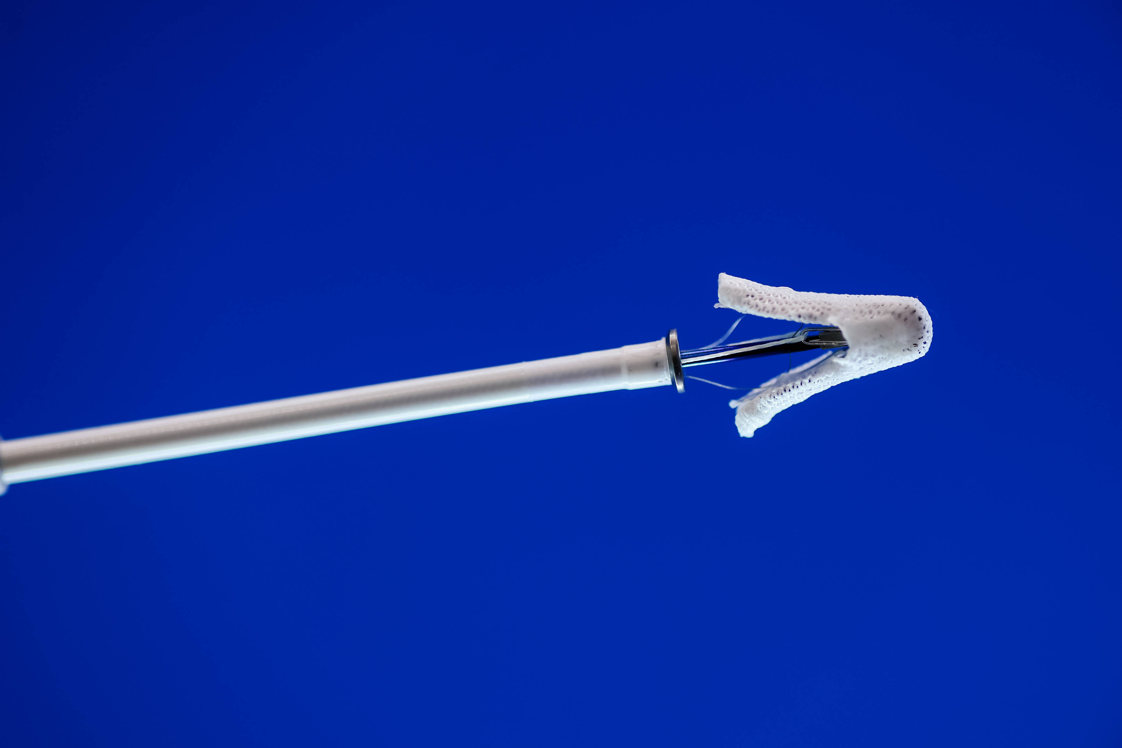 进博|科技有心意 健康更可及 雅培携创新前沿生命科技亮相第六届进博