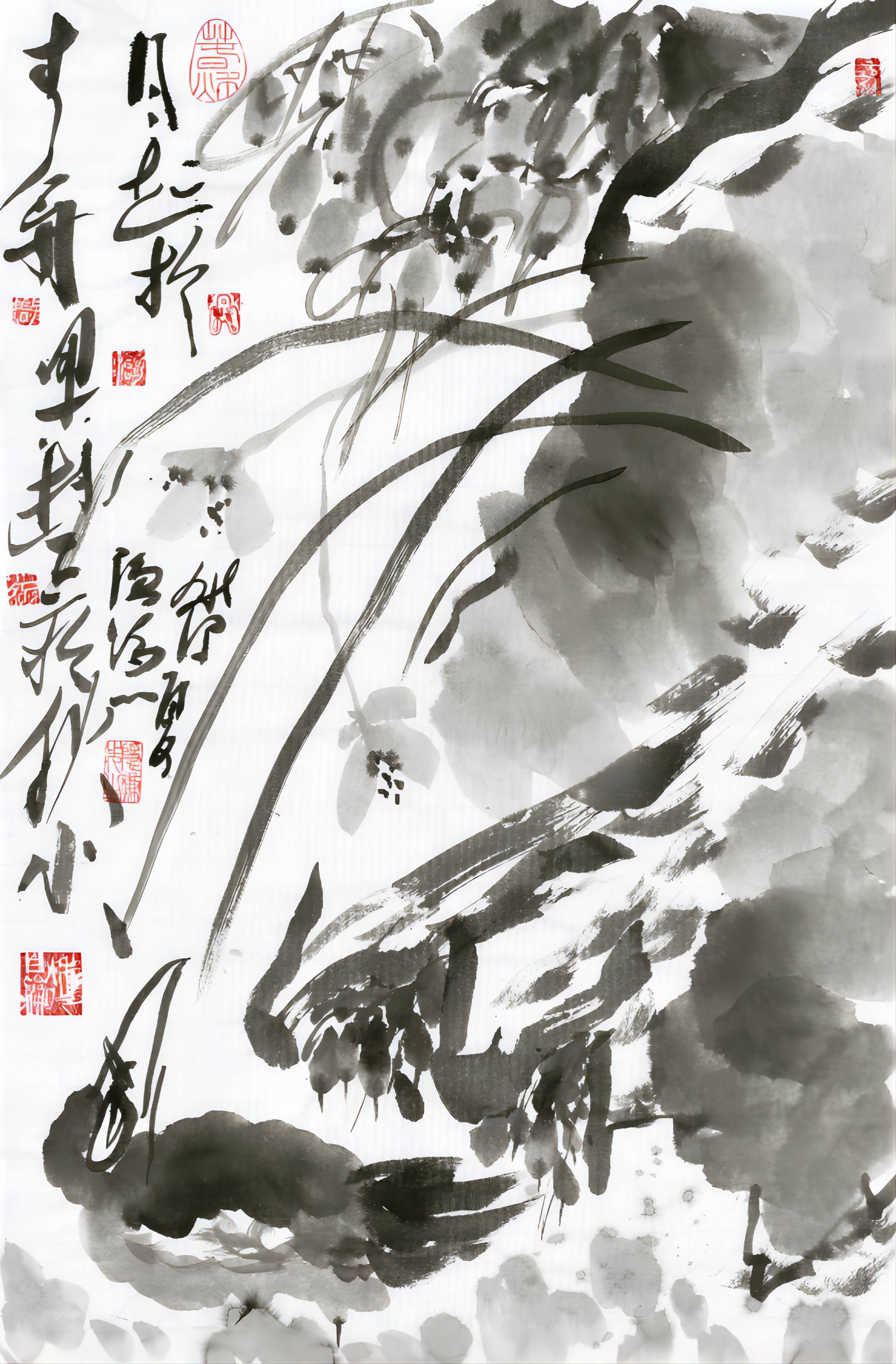 雨景花鸟大写意画家周隐谦先生笔下的兰草"极具优雅之美"_作品