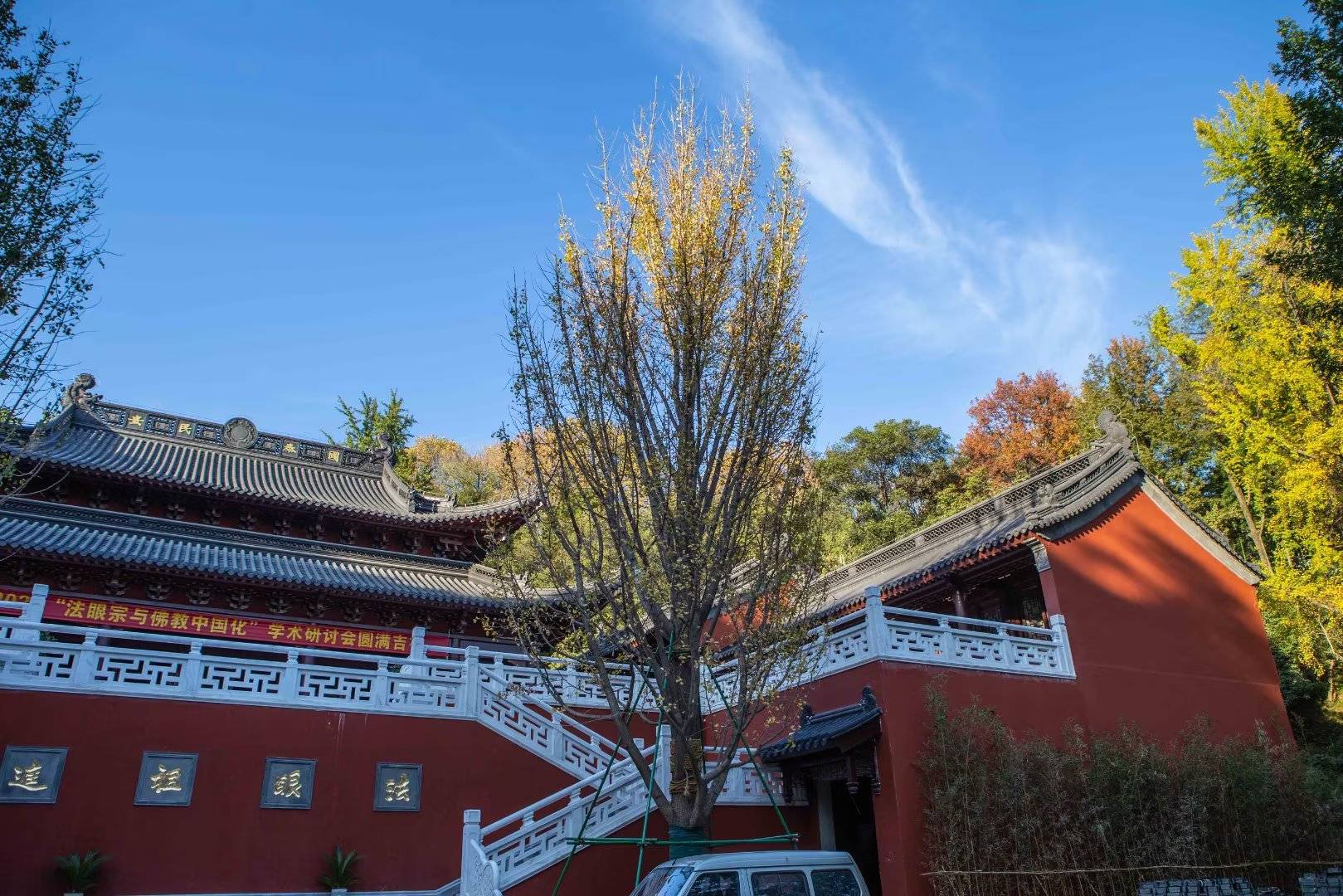 【每日一景】城市山林清凉山,从来银杏不负秋_景区_闹市_舒爽