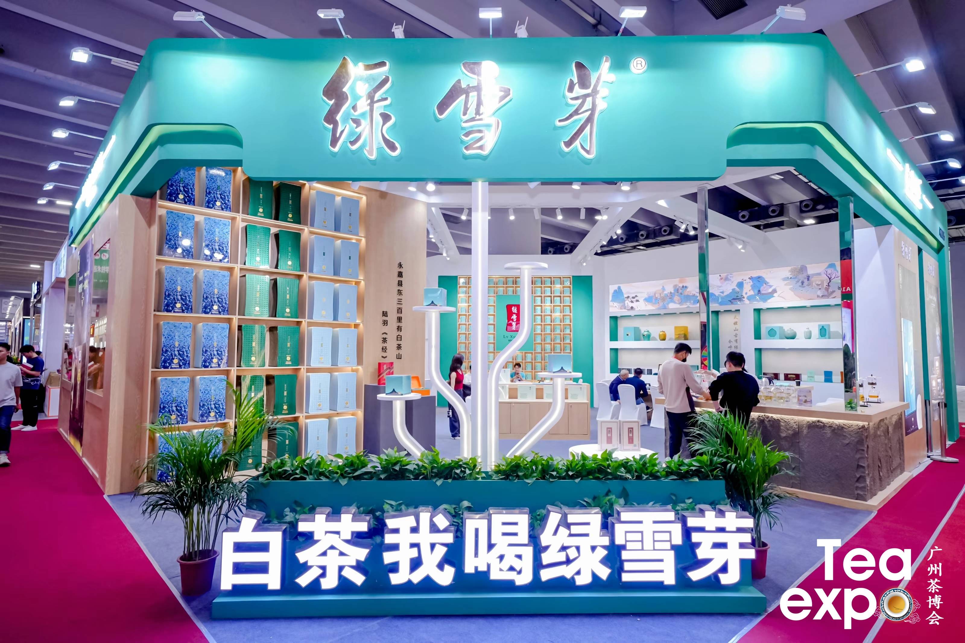 2023广州茶博会今日开幕_中国_国际_论坛