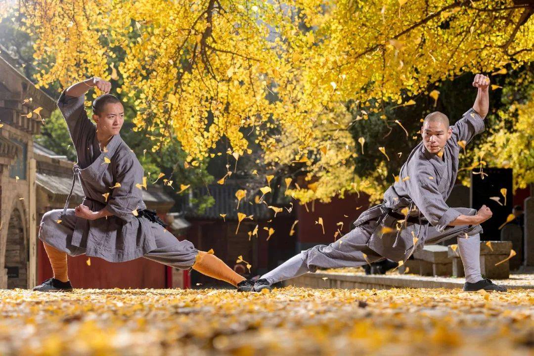 青州法庆寺雍正年间武林高手:大三和尚_大雄宝殿_丛林_寺院
