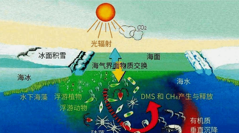 气候变暖是**？南大洋正疯狂吸碳，年吸碳量约比释放多5.3亿吨(图7)