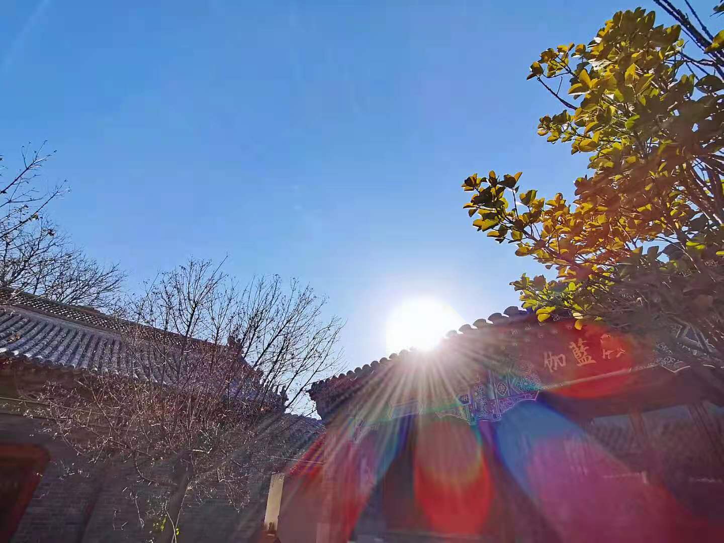 微信图片_20211203131301.jpg